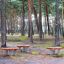 Wooden Balance Board ուղղիկ գարելափայտե գորգակներով բացօթյա մանկական խաղահրապարակում: