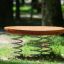 Wooden Balance Board՝ պտտվող փայտե նստարան, որը տեղադրված է գարնանային կանաչ տարածքում: